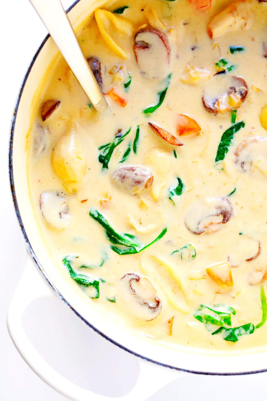 Chicken Marsala Soup